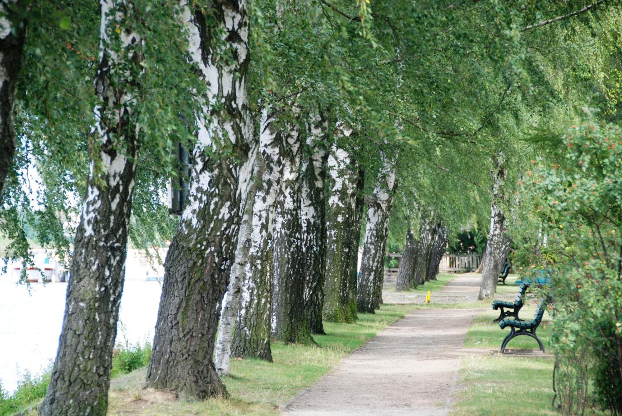 Ferienwohnungen Alte Fischerei Ketzin/Havel Exterior foto