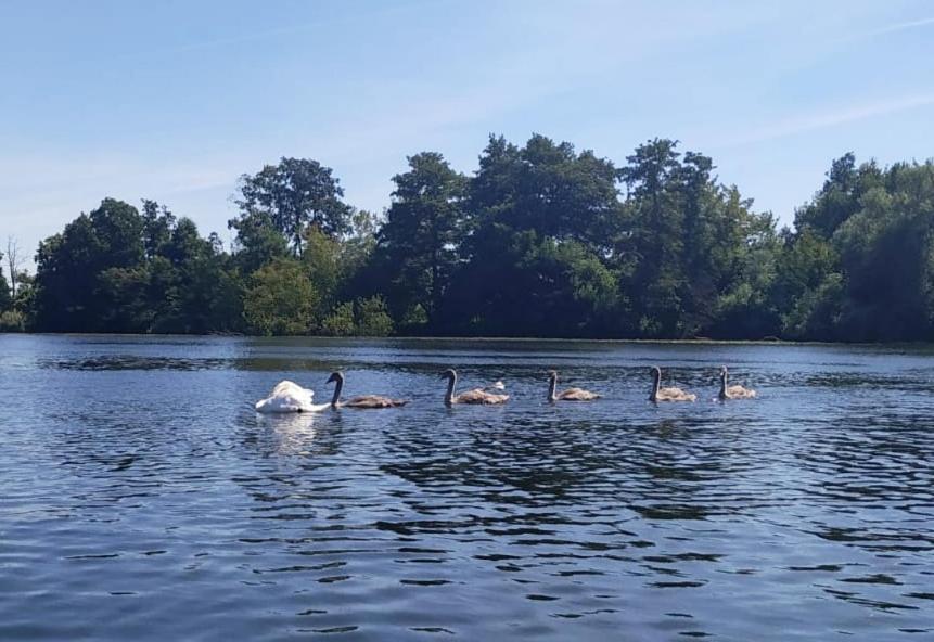 Ferienwohnungen Alte Fischerei Ketzin/Havel Exterior foto